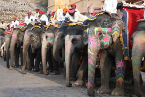 20190131084804_IMG_0648